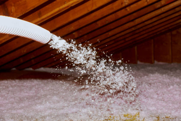 Best Spray Foam Insulation  in Mertzon, TX