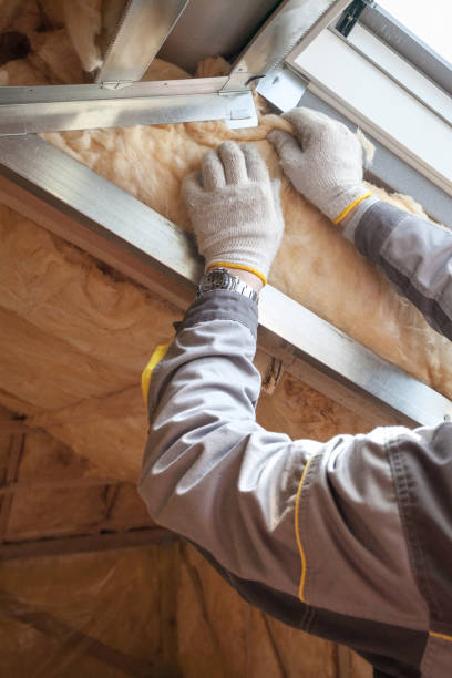 Best Insulation Contractors for Homes  in Mertzon, TX