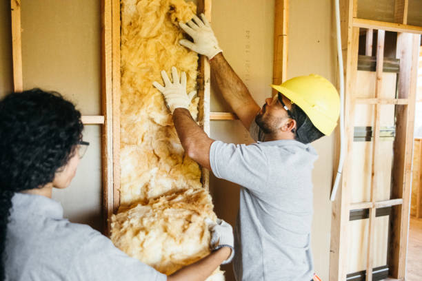 Best Cellulose Insulation  in Mertzon, TX